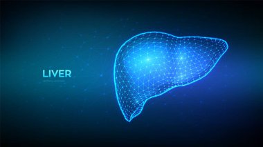 Karaciğer. İnsan ciğeri Siroz ve hepatit tedavisi, bağış, tanı konsepti. Tıbbi ilaçlar, eczane ve eğitim tasarımı için soyut düşük çokgen kablo organı. Vektör illüstrasyonu