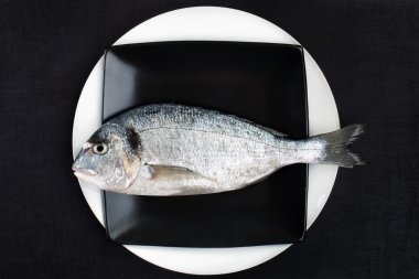 plaka üzerinde balık.