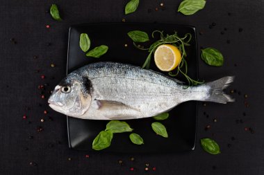 çipura. lüks deniz ürünleri.