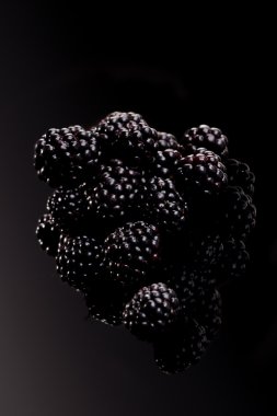 izole siyah böğürtlen.