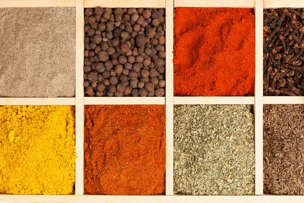 Spices collection. — Stock Photo, Image