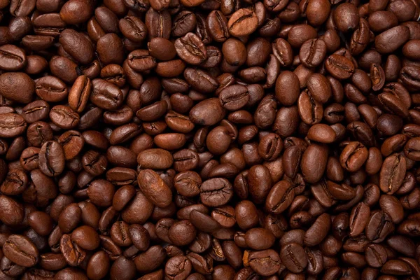 Granos de café. —  Fotos de Stock