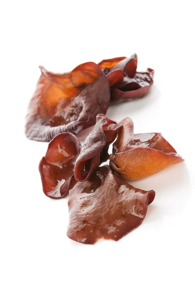 Jew's ear. — Stock Photo, Image