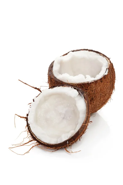 Tropical background. Coconut isolated. — Stock Photo, Image