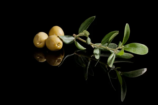 Zelené olivy. — Stock fotografie