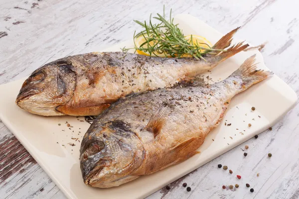 Delicioso fundo de frutos do mar . — Fotografia de Stock