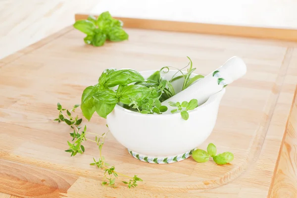 Culinary herbs. — Stock Photo, Image