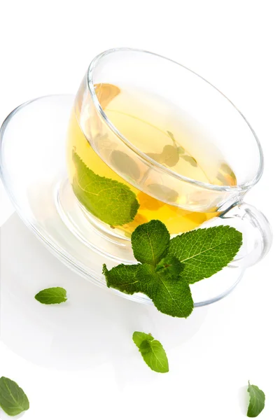 Té de menta fresca . —  Fotos de Stock