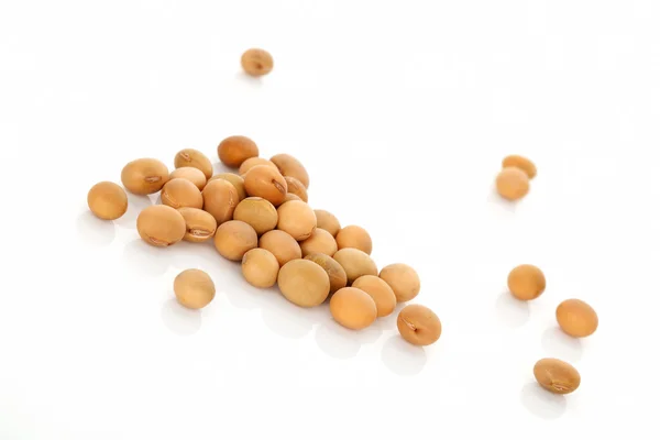 Soybeans isolated on white. — Stock Photo, Image