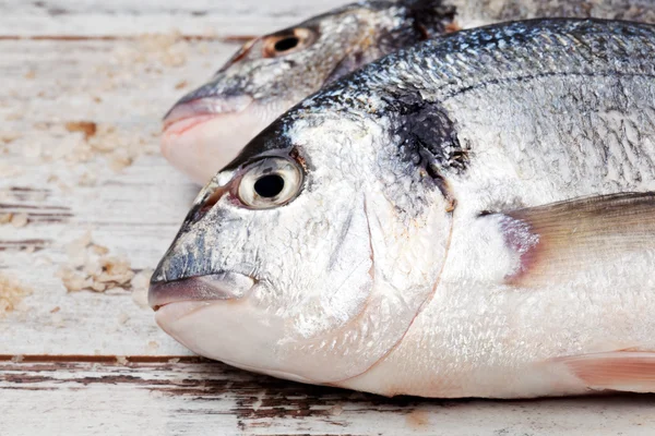 Peixe fresco sobre fundo de madeira branca. Marisco culinário . — Fotografia de Stock