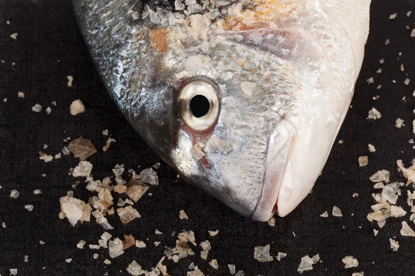 Fisk huvudet detalj isolerade på svart. — Stockfoto