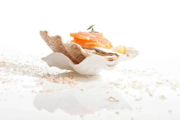 Lachs. kulinarische Meeresfrüchte Hintergrund. — Stockfoto