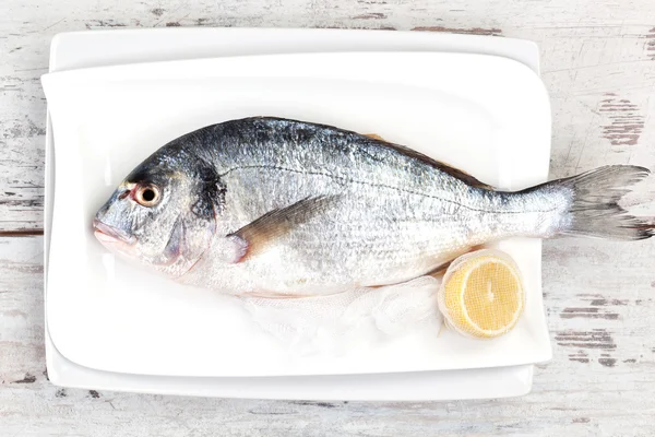 Poisson frais sur plateau blanc, style méditerranéen . — Photo