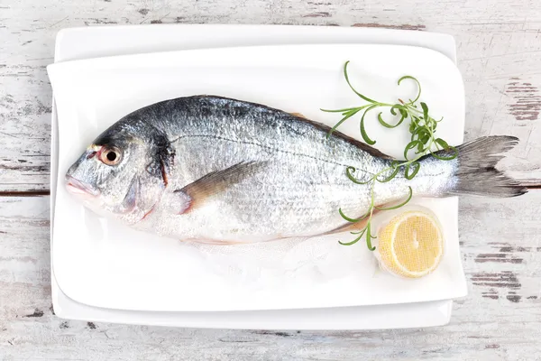 Sea bream, mediterranean style. — Stock Photo, Image