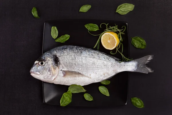 Sea bream on plate with herbs. — Stock Photo, Image