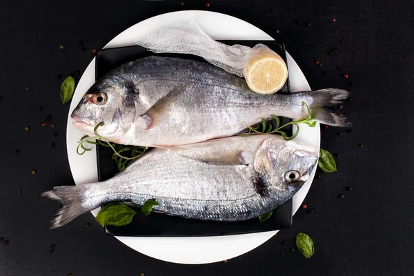 Deliciosos frutos do mar . — Fotografia de Stock