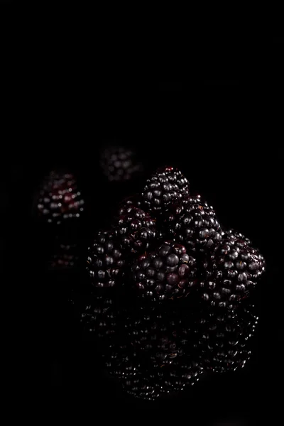 黑莓. — 图库照片