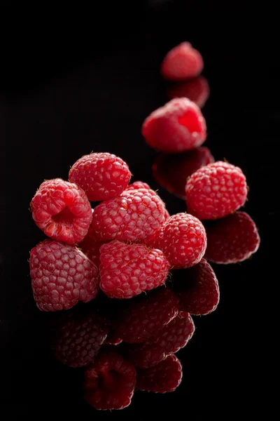 고립 된 나무 딸기. — 스톡 사진