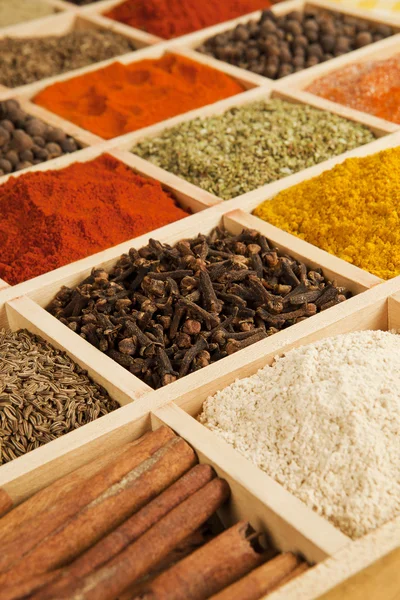 Spices variation. — Stock Photo, Image