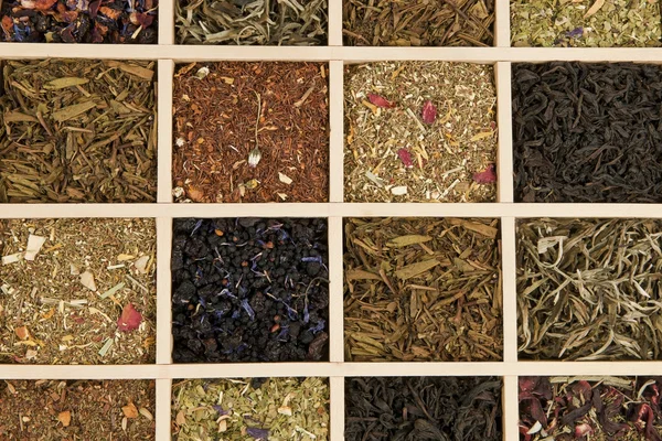 Variación del té . —  Fotos de Stock