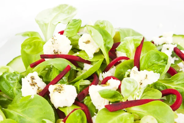 Salada fresca close up . — Fotografia de Stock