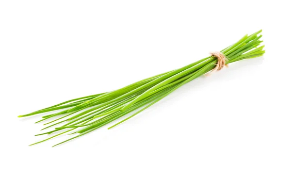 Chive bundle isolated. — Stock Photo, Image