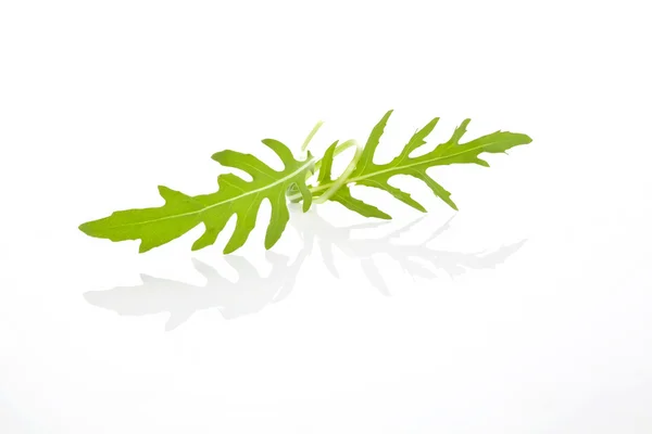 Arugula leaves isolated. — Stock Photo, Image