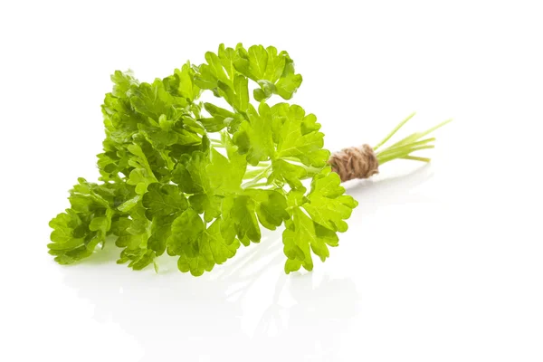 Curly parsley bunch. — Stock Photo, Image