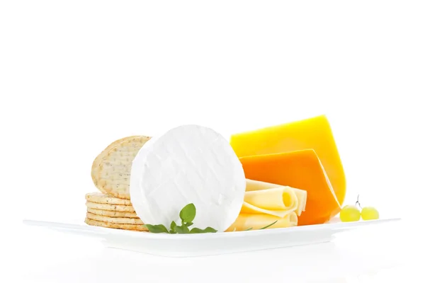 Coleção de queijo . — Fotografia de Stock