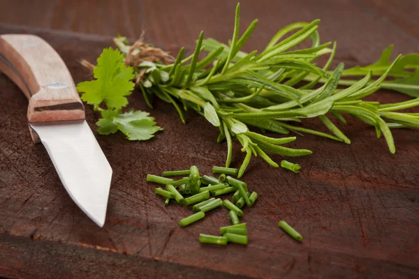 Sammlung kulinarischer Kräuter. — Stockfoto