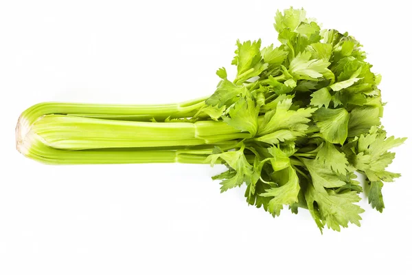 Celery isolated. — Stock Photo, Image