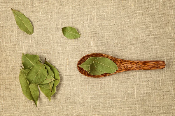 Bay leaves. — Stock Photo, Image