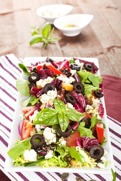 Verse salade met verse kruiden. — Stockfoto