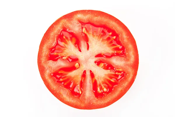 Tomate. — Fotografia de Stock