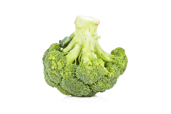 Brócoli aislado . — Foto de Stock