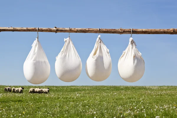 Producción tradicional de queso — Foto de Stock