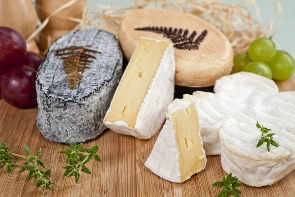 Lussuosa variazione di formaggio . — Foto Stock