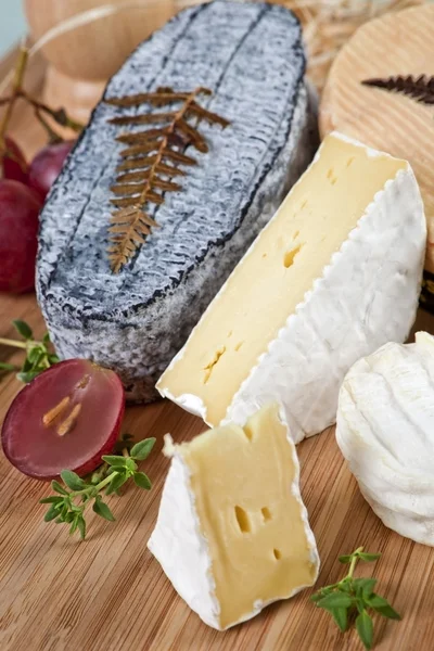 Delicious cheese variation. — Stock Photo, Image