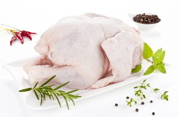 Chicken. — Stock Photo, Image