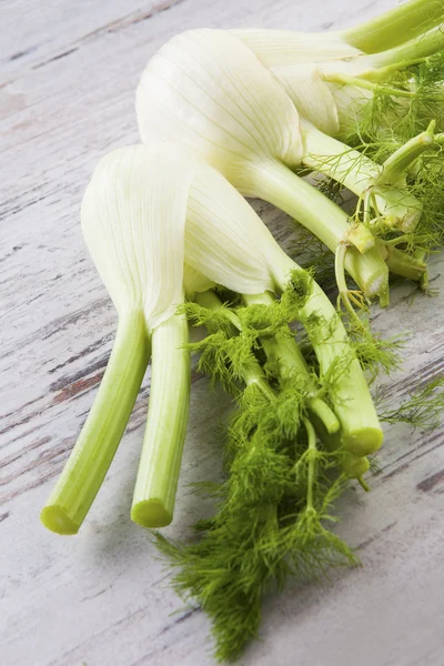 Delicious fennel. — 图库照片