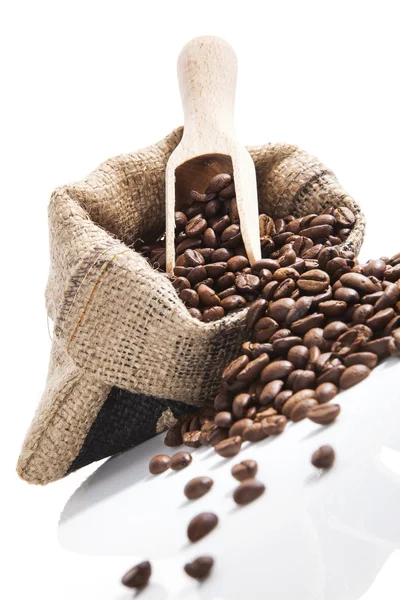 Coffee beans. — Stock Photo, Image