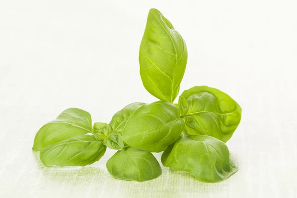 Fresh basil leaves on green background. — Stock Photo, Image