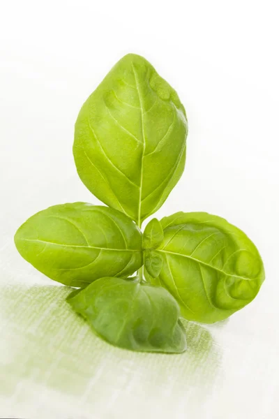 Fresh basil leaves. — Stock Photo, Image