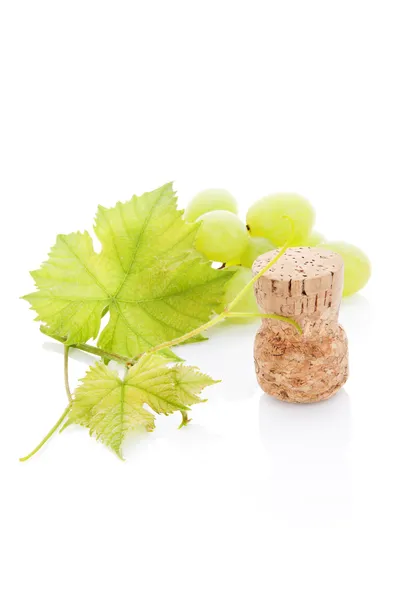 Luxurious vine background. — Stock Photo, Image