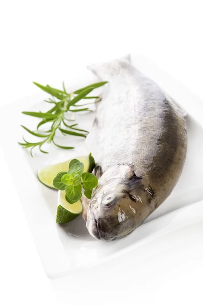 Delicious trout. — Stock Photo, Image