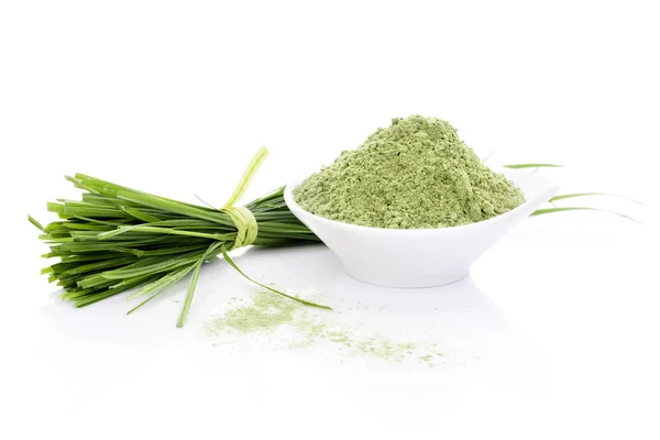 Barley Grass. — Stock Photo, Image