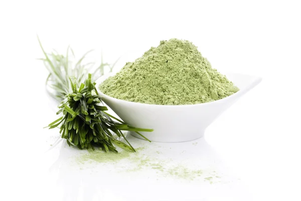 Barley grass. Superfood. — Stock Photo, Image