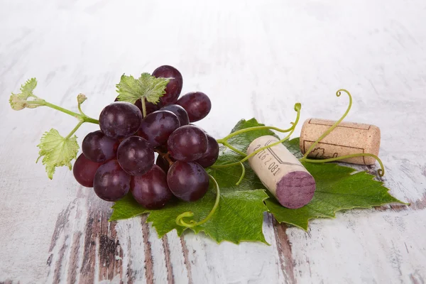 Red wine grape still life. — Stock Photo, Image