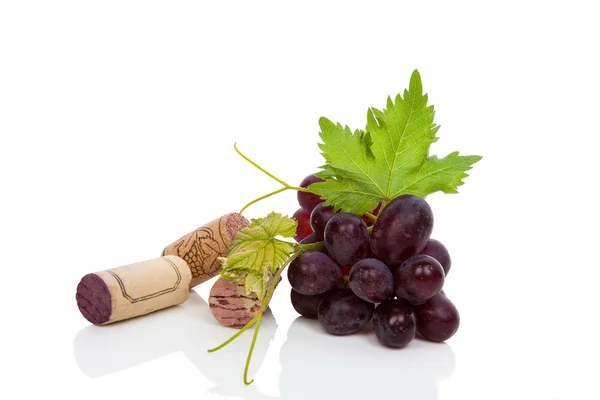 Wine cork and wine grapes. — Stock Photo, Image