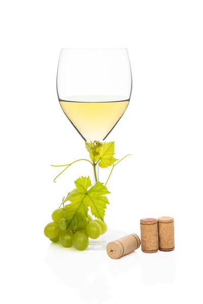 Luxurious white wine still life. — Stock Photo, Image